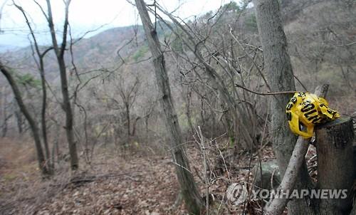 무학산 살인사건 현장에 남은 폴리스 라인 뭉치