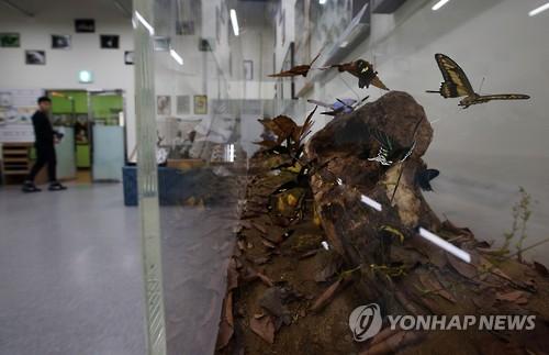 영등포구청 곤충체험학습장