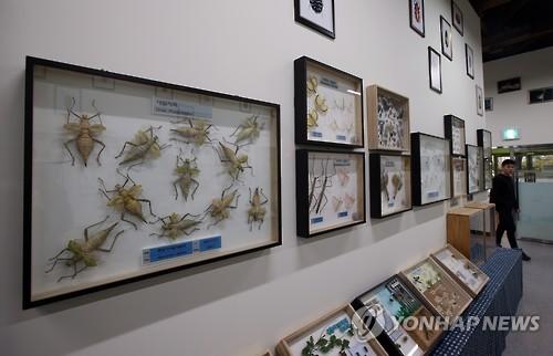 영등포구청 곤충체험학습장