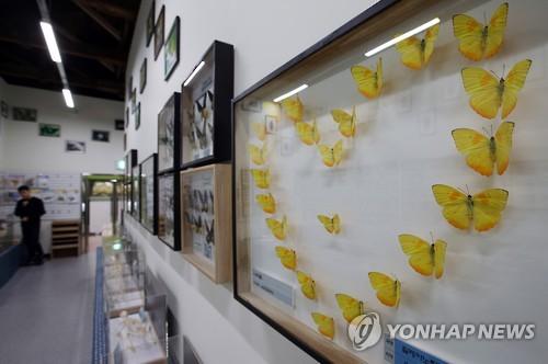 영등포구청 곤충체험학습장