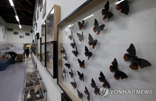 영등포구청 곤충체험학습장