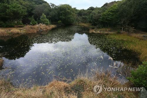 동백동산 최대 습지 먼물깍