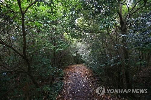 <길따라 멋따라> 세계 첫 람사르 마을 제주 선흘리 동백동산