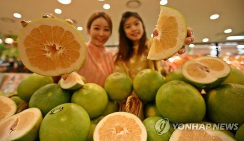 롯데마트, 새콤달콤 이스라엘 스위티 출시
