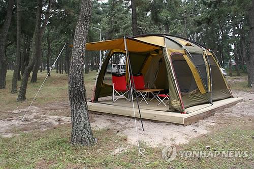 강릉 연곡해변에 솔향기 캠핑장 조성