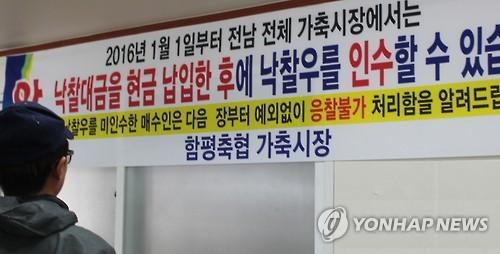 전남 가축시장 현금거래만
