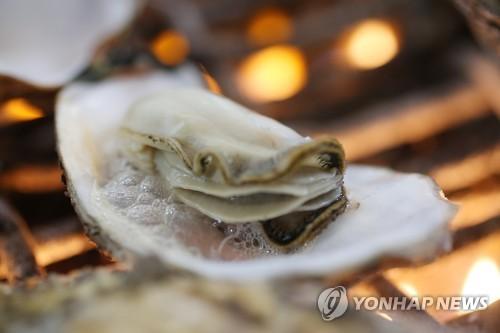 <Weekly Travel> 쫄깃하고 달콤한 천북 굴구이
