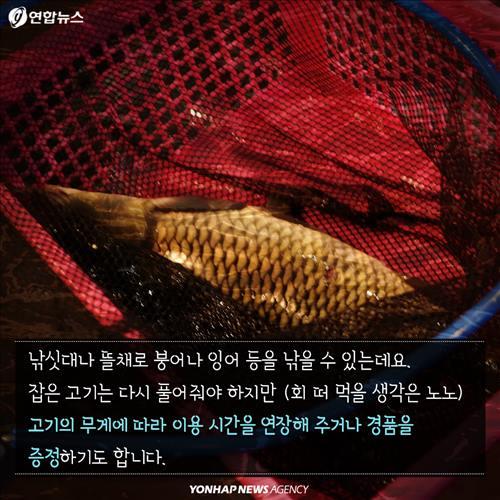 <카드뉴스> 카페서 낚시할래, 낮잠 잘래?…체험카페 전성시대