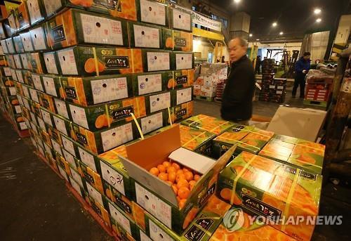 한파에 농수산물 가격 급등…감귤값 1주일새 2배로(종합)