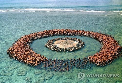 일본 태평양 산호초지대 오키노토리시마에 거점 재건축 추진