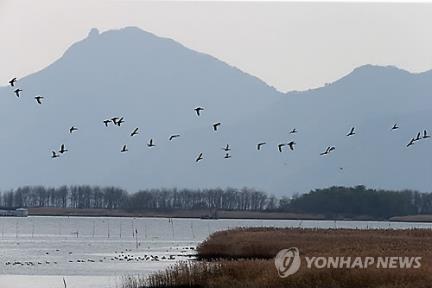 낙동강 에코관광버스 운영하실 분 찾습니다