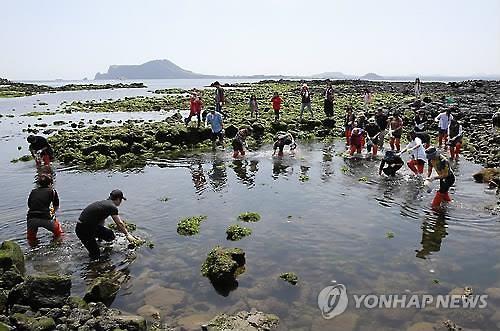 제14회 우도소라축제