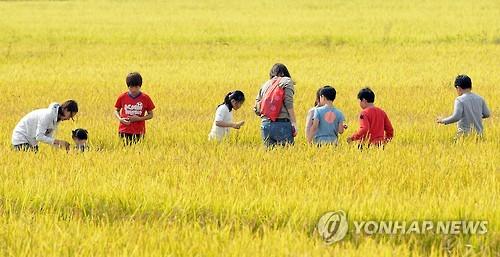 <세종소식> 농촌체험 여행상품 개발