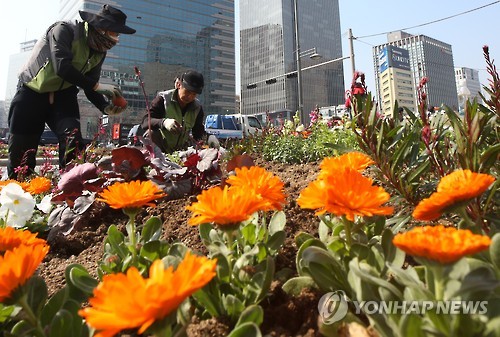 봄맞이 꽃단장