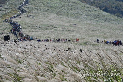 울산 신불산 자연휴양림에 내년 모노레일 설치