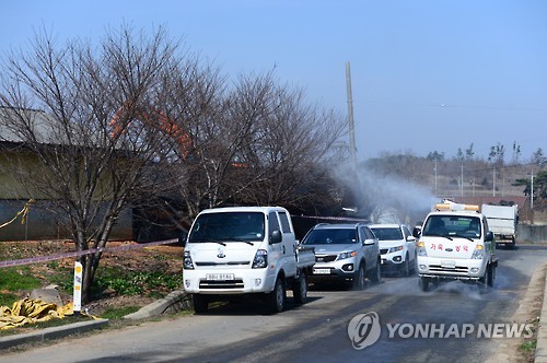 국내 최대 양돈단지 홍성서 구제역