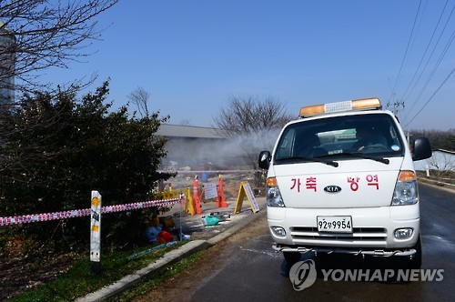 국내 최대 양돈단지 홍성서 구제역