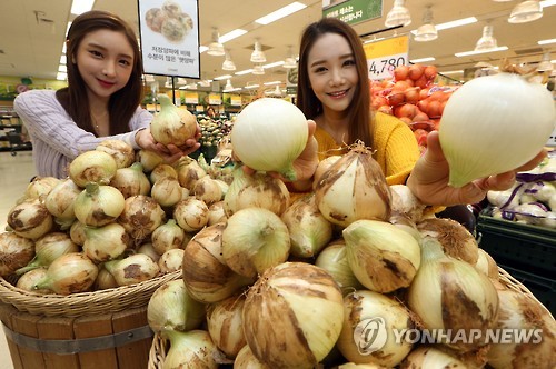 햇양파 맛보세요!