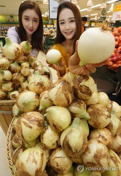 햇양파 맛보세요!