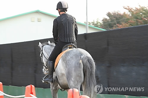 말 산업 특구 용인시, 승마 활성화에 189억 투입