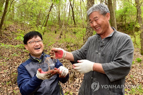 산림청장, 산양산삼 현장 방문