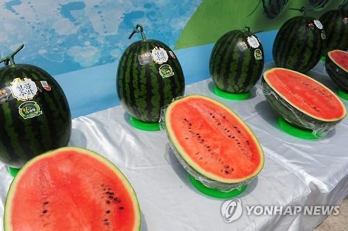 "수박·복분자는 역시 고창!"…특산품 브랜드 대상 석권