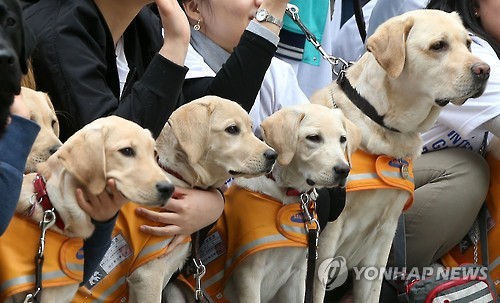 우리는 안내견입니다