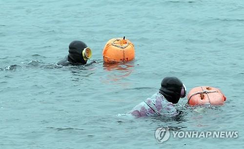 농부는 경운기 몰다, 해녀는 바다에서…고령 사망사고 잇따라