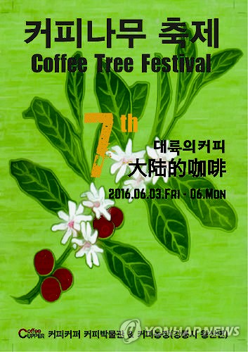 중국 커피 맛보세요…강릉 커피나무 축제 6월 열려
