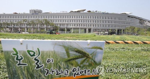 수확 되는 호밀