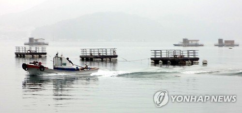 하동 대도마을 좌대 낚시터