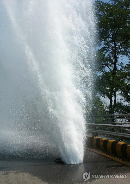 PYH2016071106050001300_P2_99_20160711130607.jpg?type=w540