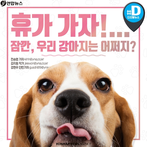 <카드뉴스> 휴가 가자!…잠깐, 우리 강아지는 어쩌지?