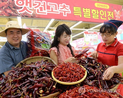 농협유통, 안면도 태양초 햇건고추 판매개시