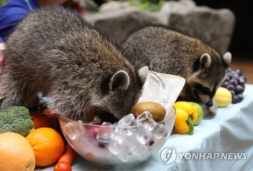 얼음이 제일 맛있어