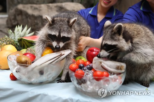 얼음이 제일 맛있어