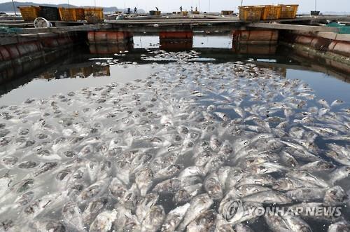 폭염에 가축 357만마리 폐사…양식장 물고기도 떼죽음