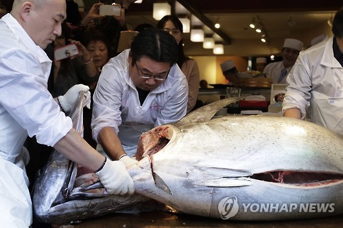 참다랑어 어획제한 日국제회의 합의불발…내년 한국서 재론