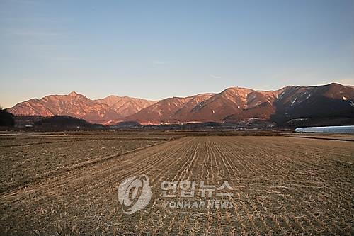 환경단체 백두대간 등산로 리본 공해로 몸살