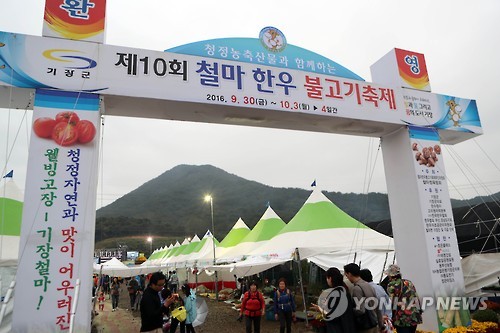 기장 철마 한우 불고기 축제