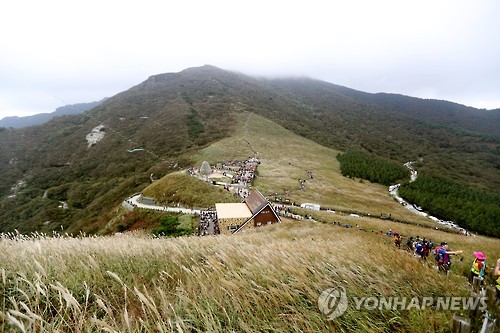 <길따라 멋따라> 은빛 물결 넘실…영남알프스 억새밭