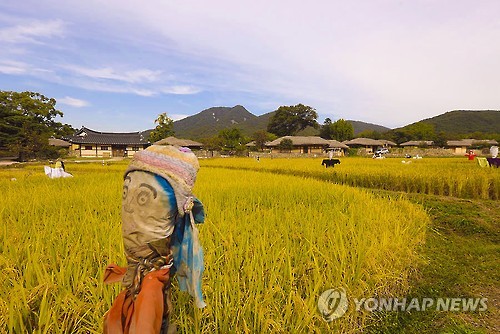 허수아비도 눈 번쩍… 가을의 한중간 아산 외암마을
