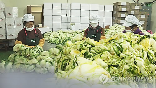 김장용 절임배추, 구매한 날 바로 사용하세요