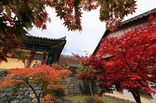 가을 풍경에 발길을 멈춘다…무주사진가협회전 개막