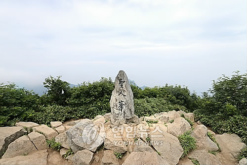 성인봉 등산 간 울릉경비대장 실종…100명 동원 수색