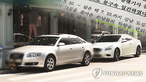 발레파킹 업체 80% 강남구에…대리주차 관리법 만들어야