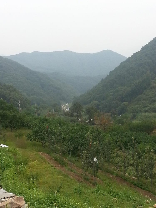 산촌생태마을서 가을 추억을…산림청 산촌 5곳 추천