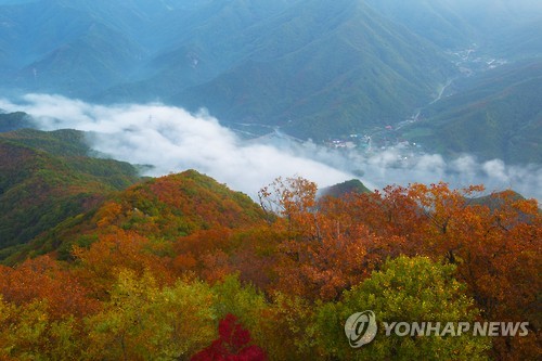 오-메 단풍들것네 전북 단풍명소에 나들이객 북적