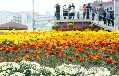 마산가고파국화축제 성황