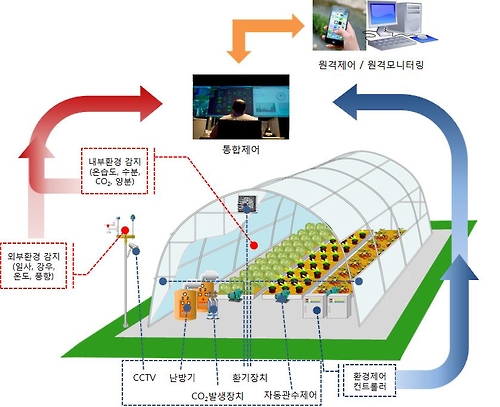 딸기 하우스에 스마트 팜 도입하면 소득 21.5% 증가